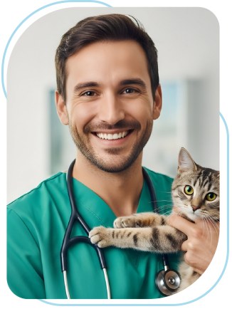 Policy on Animals in Clinical Facilities of Amerimmune Clinic in McLean VA, Alexandria VA, Arlington VA, Bethesda MD, Gaithersburg MD, and Rockville MD
