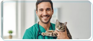 Policy on Animals in Clinical Facilities of Amerimmune Clinic in McLean VA, Alexandria VA, Arlington VA, Bethesda MD, Gaithersburg MD, and Rockville MD