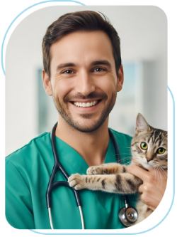 Policy on Animals in Clinical Facilities of Amerimmune Clinic in McLean VA, Alexandria VA, Arlington VA, Bethesda MD, Gaithersburg MD, and Rockville MD
