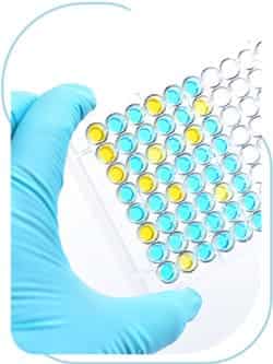 Immunology Testing Serving McLean VA, Alexandria VA, Arlington VA, Bethesda MD, Gaithersburg MD, and Rockville MD
