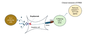 Discoveries of Amerimmune Clinic in McLean VA, Alexandria VA, Arlington VA, Bethesda MD, and Gaithersburg MD